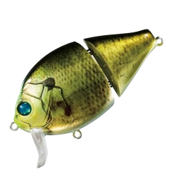 Boogie Back -Love Fishing Store 02Canada