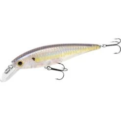 Lucky Craft Pointer SP 78 Jerkbait -Love Fishing Store 12