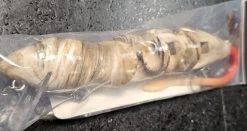 PB Rat 4 Piece 23 PB Rat 4 Piece -Love Fishing Store 20230713 115018 f49d4028 69d9 4cc6 bddf 4b0441987ac5