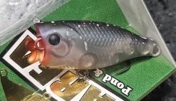 Lucky Craft Poko Poko Cra Pea 21 Lucky Craft Poko Poko Cra Pea -Love Fishing Store 20230810 151611