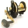 Daiwa Sealine-X Conventional Star Drag Reels 1 Daiwa Sealine-X Conventional Star Drag Reels -Love Fishing Store 20sha big