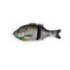 Baitsanity Explore Gill Glide Bait