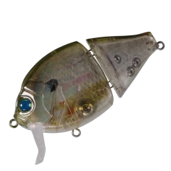 Boogie Back -Love Fishing Store A01NaturalBoogieShell