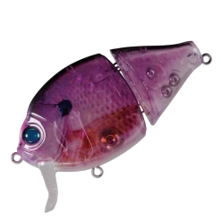 Boogie Back -Love Fishing Store A04Nadesico