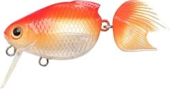 Lucky Craft Kingyo Anekin 60F -Love Fishing Store ANEKIN60F 0969