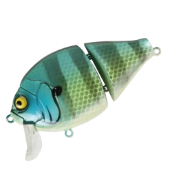 Boogie Back -Love Fishing Store BoogieBackBluegill