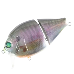 Boogie Back -Love Fishing Store BoogieBackKonkatsuFemale