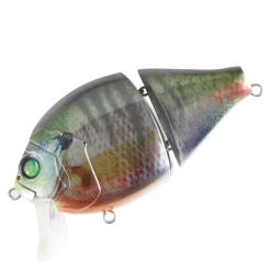 Boogie Back -Love Fishing Store BoogieBackKonkatsuMale