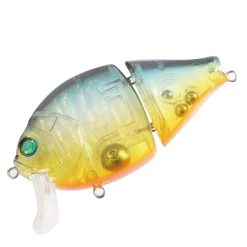 Boogie Back -Love Fishing Store Boogie Back Yugatta Abalone