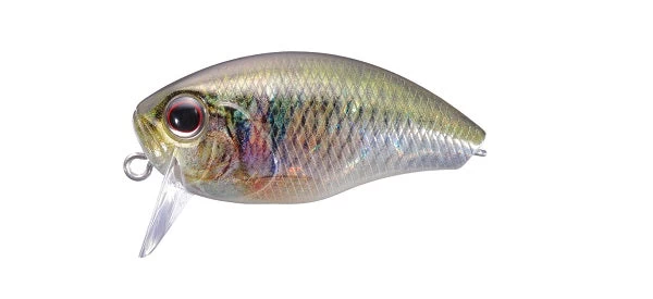 Buzzin Crank 11 Buzzin Crank - Image 9