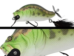 Zacrawl SC -Love Fishing Store Darumagaeru