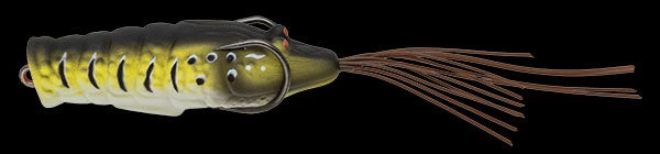 Chibi Ebigaeru 4 Chibi Ebigaeru - Image 2