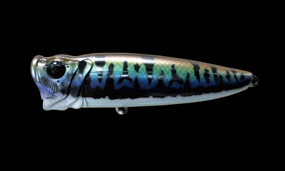 Funter 5 Funter - Image 3