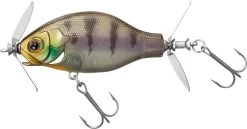 Daiwa Gillnado 50S -Love Fishing Store Gillnado50S NamaGill