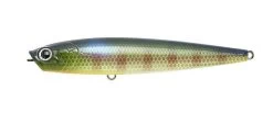 Lucky Craft Gunfish -Love Fishing Store Gunfish BE gill