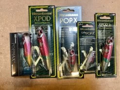 Brachiostick -Love Fishing Store IMG 4298 954267c1 bdc2 4d57 8faf 9b5676bbc2ba