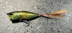 Popper 64 38 Popper 64 -Love Fishing Store IMG 8221 2