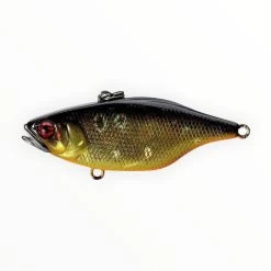 Jackall TN 70 Disk Knocker Lipless Crankbait -Love Fishing Store JTN70S hl black gold 700x700 336d18b9 fef1 493c b1f4 b1c9c9212ca1