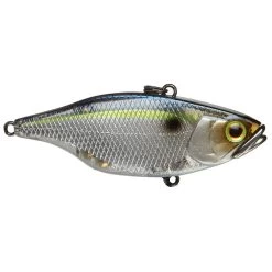 Jackall TN 80 Lipless Crankbaits 16 Jackall TN 80 Lipless Crankbaits -Love Fishing Store JackallTN80SGThreadfinShad