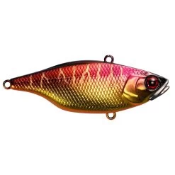 Jackall TN 80 Lipless Crankbaits 15 Jackall TN 80 Lipless Crankbaits -Love Fishing Store JackallTN80SpawningTiger