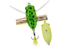 Koshinmushi -Love Fishing Store KOshin ccc3265