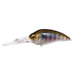 Megabass Super Z-3 Crankbait -Love Fishing Store Megabass Super Z Z3 GG Gillkko 2048x2048 50f4f3bf 92bf 4ffc 8ce8 a54b58d52c8d