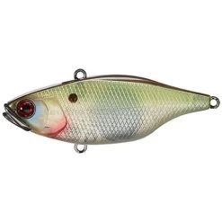 Jackall TN 60 Disk Knocker Lipless Crankbait -Love Fishing Store Muddy Shad