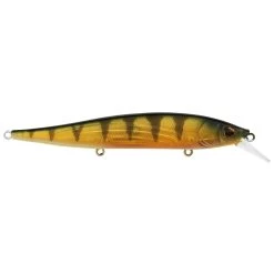 Berkley Stunna 112 Jerkbait 22 Berkley Stunna 112 Jerkbait -Love Fishing Store Perch 9c4124a6 554c 438f b08d 8db03a77a390
