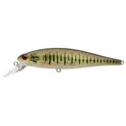 Lucky Craft Pointer 100 SP Jerkbait 31 Lucky Craft Pointer 100 SP Jerkbait -Love Fishing Store Pointer 100 SMB