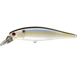 Lucky Craft Pointer 100 SP Jerkbait 34 Lucky Craft Pointer 100 SP Jerkbait -Love Fishing Store Pointer 100 SP PTFS