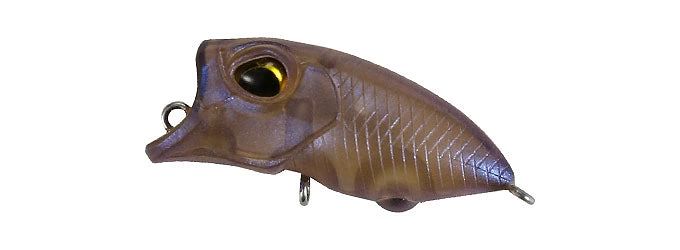 Riola 5 Riola - Image 3