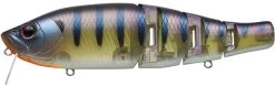 Royal Flash Jr. 23 Royal Flash Jr. -Love Fishing Store Royal277Magicgill