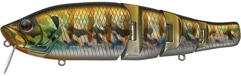 Royal Flash Jr. 14 Royal Flash Jr. - Image 12