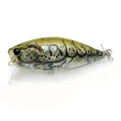 Scratch 18 Scratch -Love Fishing Store SCR008. FUYUU EBI