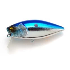 Scratch 19 Scratch -Love Fishing Store SCR009 GACHI MEKKI