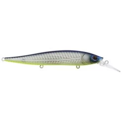 Berkley Stunna 112+1 Jerkbait 17 Berkley Stunna 112+1 Jerkbait -Love Fishing Store Shad Fillet