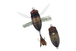 Shinmushi -Love Fishing Store ShinmushiSemigara