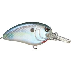 Spro Little John MD 50 Crankbait -Love Fishing Store Spooky Nasty 572a654d 72ee 41b5 a8f1 35e36ace8708