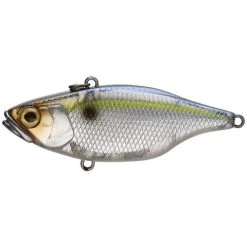 Jackall TN 60 Disk Knocker Lipless Crankbait -Love Fishing Store Threadfin Shad 5fd8d640 1e59 43df abf0 00d9f94daf18
