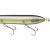 SB Topwater -Love Fishing Store american shad 4