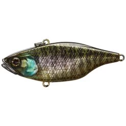 Jackall TN 70 Disk Knocker Lipless Crankbait -Love Fishing Store holo 1024x1024 06269714 397e 4ccc abca 5422055bb74e