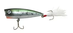 Rico -Love Fishing Store johnmurraybass600
