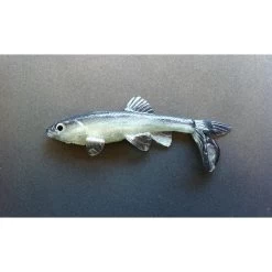 Little Creeper Baits All American Trash Fish Fatty -Love Fishing Store justshad