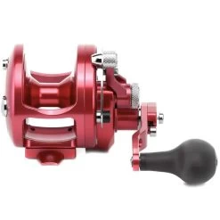 Avet JX Raptor Series Reels -Love Fishing Store jx 63 mc raptor rd 3