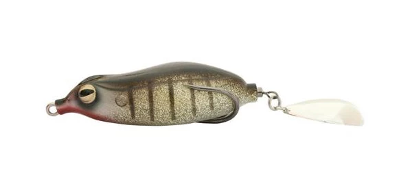 Maracker Frog 4 Maracker Frog - Image 2