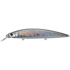 Lucky Craft Surf Pointer 115 MR 15 Lucky Craft Surf Pointer 115 MR -Love Fishing Store ms anchovy grande 12b1914f 0ebc 4c08 a5c8 5a180ab81281