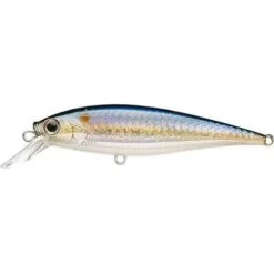 Lucky Craft Pointer SP 78 Jerkbait -Love Fishing Store msamericanshad