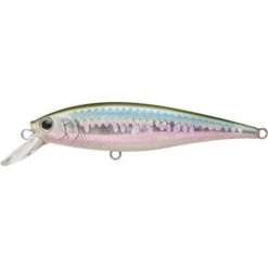 Lucky Craft Pointer SP 78 Jerkbait -Love Fishing Store msmjherring