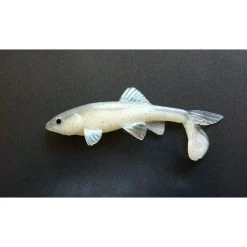 Little Creeper Baits All American Trash Fish Fatty -Love Fishing Store pearlwhitish