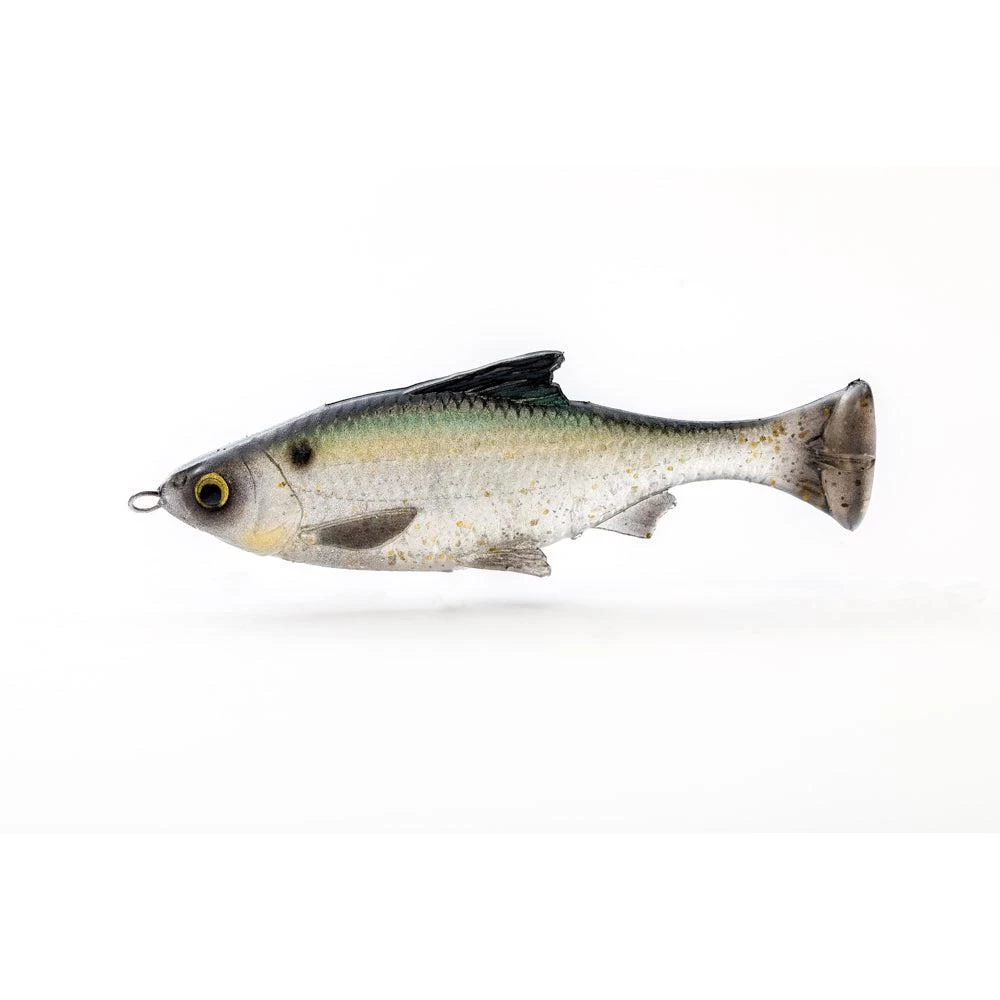 Savage Gear Pulse Tail Shiner LT 7" Line Thru 6 Savage Gear Pulse Tail Shiner LT 7" Line Thru - Image 4